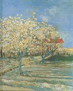 Vincent Van Gogh Orchard in Blossom (nn04) china oil painting reproduction